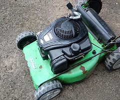 ☢️ Flora best mower +strimmer
☢️