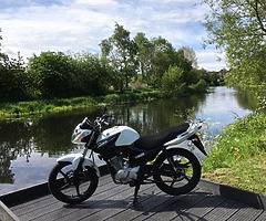 2014 Yamaha Ybr 225 - Image 3/3