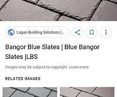 Bangor blues tiles