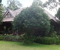 5 houses With Stonewall and POOL