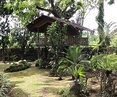 5 houses With Stonewall and POOL - Image 3/10