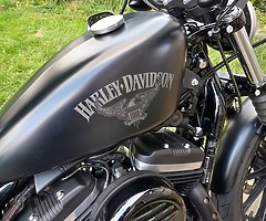 Harley Davidson xl883n