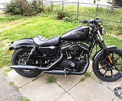 Harley Davidson xl883n