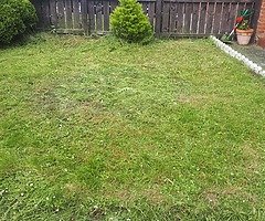 Anyone looking any gardens cut pm