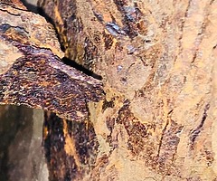 MOTOR WELDING LOCKNUT REMOVAL UNDERBODY SEAL FROM £60 - Image 7/9