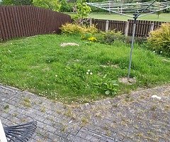 Gardening &powerhosing AVAILIBLE all weekend read add - Image 5/10