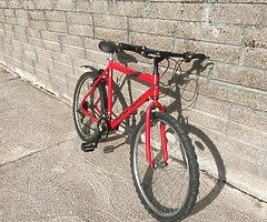 lightweight mtb
22” aluminum oval frame