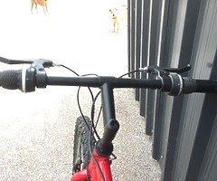 lightweight mtb
22” aluminum oval frame - Image 4/5