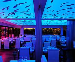 PERFECT CEILING IN 1 DAY! BAR HOTEL RESTAURANT KITCHEN BATHROOM OFFICE APARTMENT SHOP HOSPITAL SPA - Image 10/10