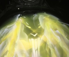 Honda cbr 1100 blackbird