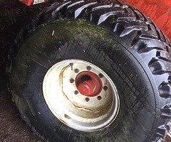 ❗️Not selling looking❗️