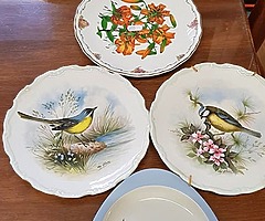 selection of plates most royal Albert