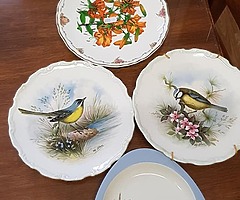 selection of plates most royal Albert - Image 2/5