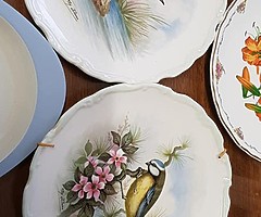 selection of plates most royal Albert - Image 3/5