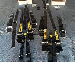 Rally harnesses - Image 3/3