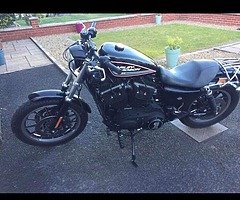 Harley XL883R - Image 3/3