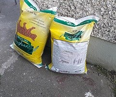 Kitty litter pellets ... free