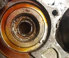 Muckandfun - Image 9/15