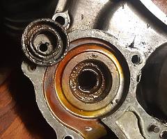 Muckandfun - Image 10/15