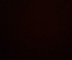 Any cheap pitbikes about