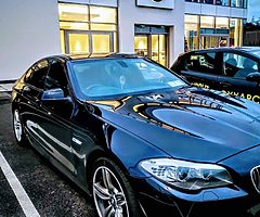 131 BMW 520d Auto M Sport Imperial Blue Xirallic - Image 9/9