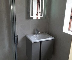 Tiler and bathroom renovations - Image 3/10