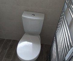 Tiler and bathroom renovations - Image 4/10