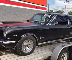 Mustang Pony 66 - Image 7/7