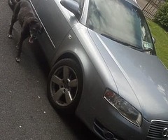 Audi A4 1.9tdi - Image 5/5