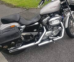 Harley Davidson Sportster 883