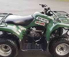 Yamaha grizzly 250 at muckandfun in Wicklow - Image 5/10
