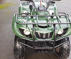Yamaha grizzly 250 at muckandfun in Wicklow - Image 6/10