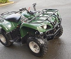 Yamaha grizzly 250 at muckandfun in Wicklow - Image 7/10