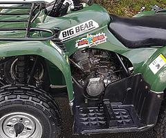 Yamaha grizzly 250 at muckandfun in Wicklow - Image 9/10