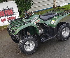 Yamaha grizzly 250 at muckandfun in Wicklow - Image 10/10