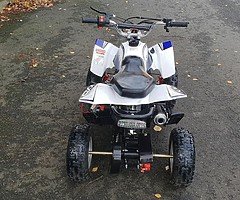 Quadard pro 50 cc kids quad at muckandfun - Image 3/10