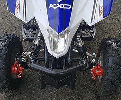 Quadard pro 50 cc kids quad at muckandfun - Image 7/10